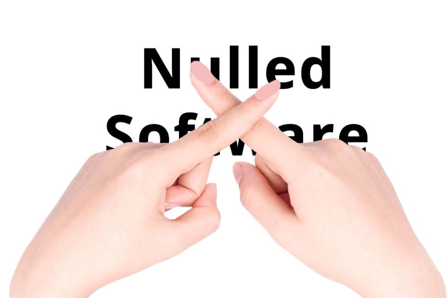 Disadvantages of Nulled Scripts and Software, Just focus on paid product with valid Licence