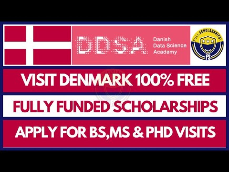 DDSA Visit Grant Scholarships 2024 in Denmark (Funded)