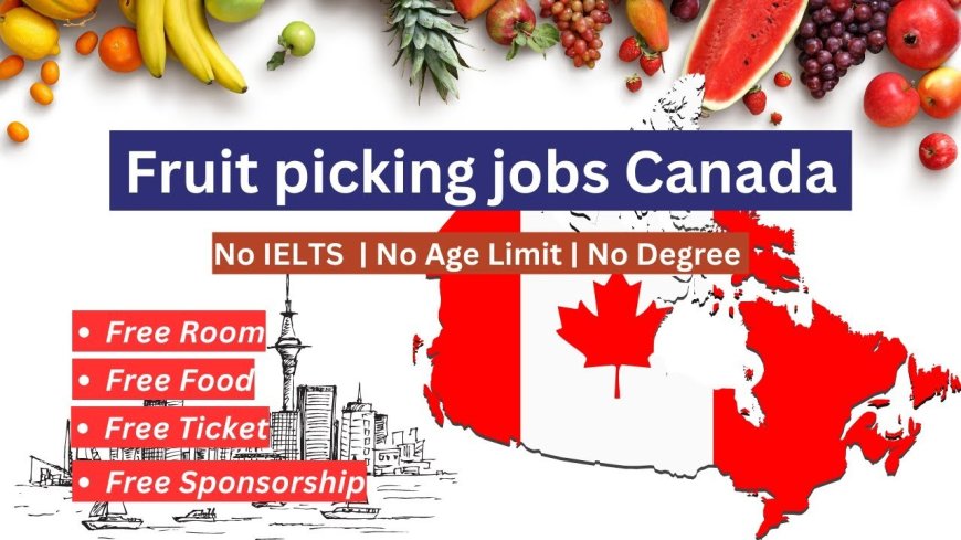 Fruit Picking Jobs in Canada 2024 | Canada Work Visa