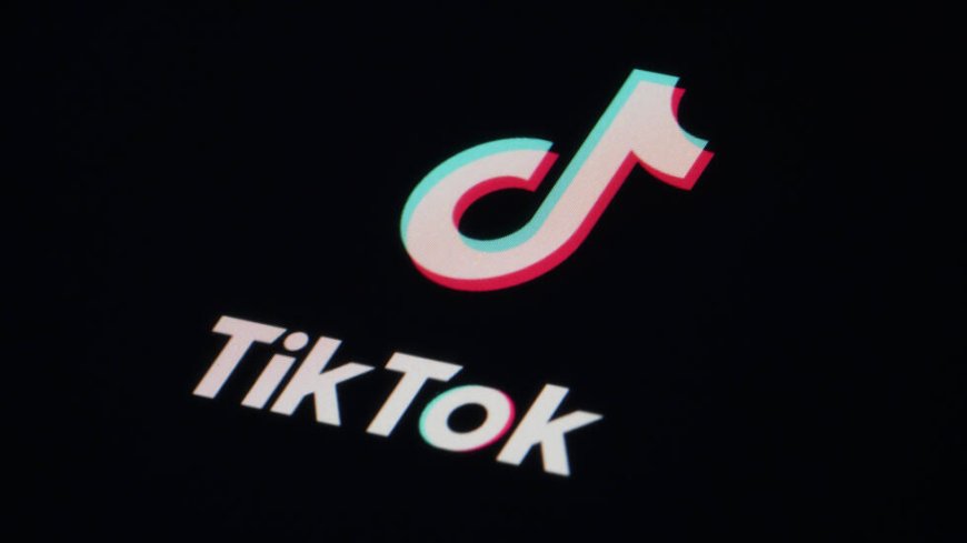 French Families Sue TikTok for Alleged Failure to Remove Harmful Content